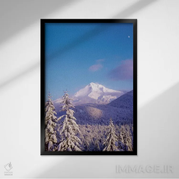 تابلو دکوراتیو Mt. Hood , Mt. Hood National Forest, Oregon,درختان پ… اثر استوارت وست مورلند - نمای قابدار مشکی