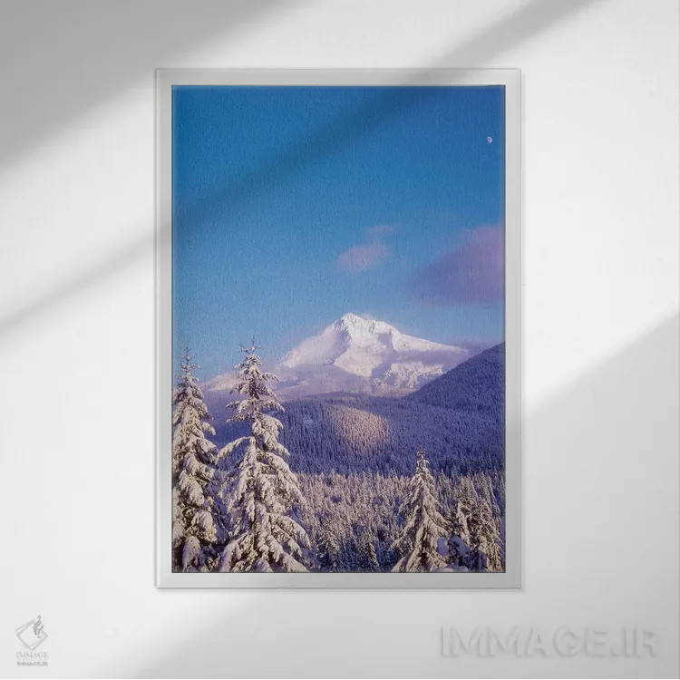 تابلو دکوراتیو Mt. Hood , Mt. Hood National Forest, Oregon,درختان پ… اثر استوارت وست مورلند - نمای قابدار سفید