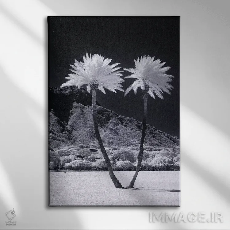 تابلو دکوراتیو دو نخل همسان اثر شان دیوی - نمای روبهرو روی دیوار