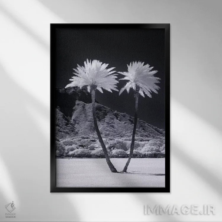 تابلو دکوراتیو دو نخل همسان اثر شان دیوی - نمای قابدار مشکی