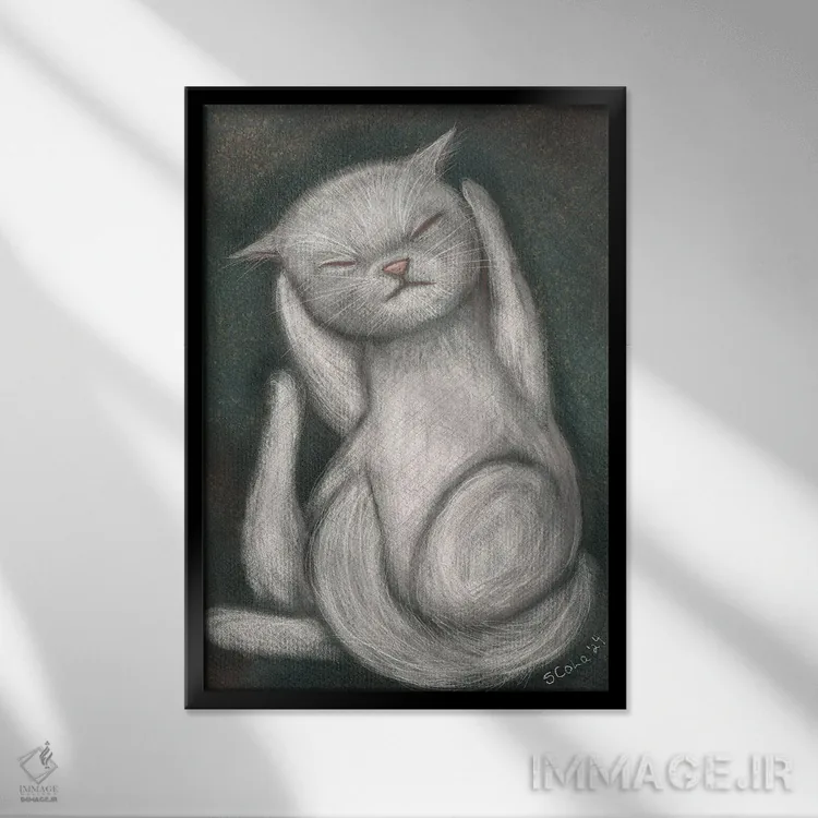 تابلو دکوراتیو خوابیده اثر سیلویا کولاساکو - نمای قابدار مشکی