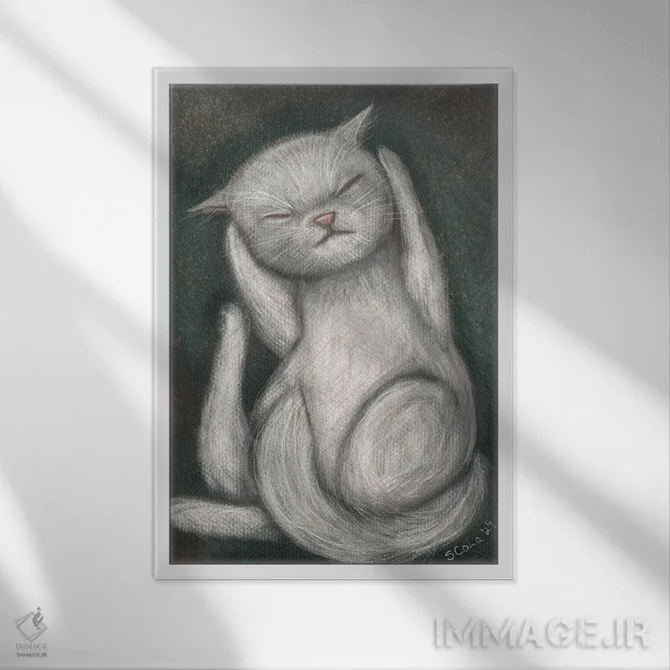 تابلو دکوراتیو خوابیده اثر سیلویا کولاساکو - نمای قابدار سفید