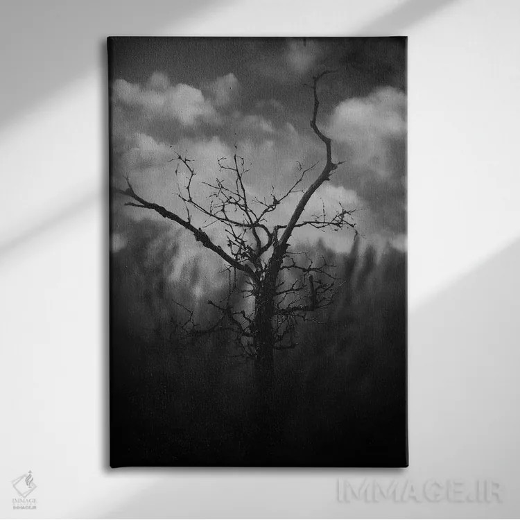 تابلو دکوراتیو دره سیاه اثر تیلور آلن - نمای روبهرو روی دیوار