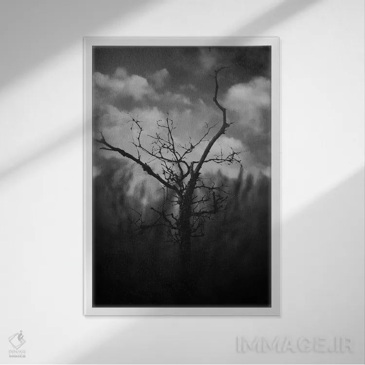 تابلو دکوراتیو دره سیاه اثر تیلور آلن - نمای قابدار سفید