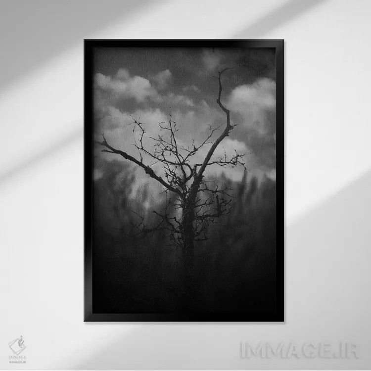 تابلو دکوراتیو دره سیاه اثر تیلور آلن - نمای قابدار مشکی