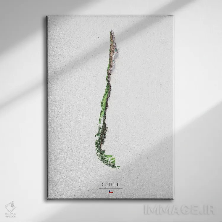تابلو دکوراتیو شیلی اثر تروبات مپس - نمای روبهرو روی دیوار