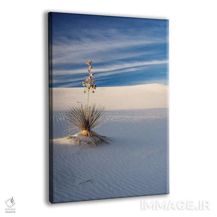 تابلو دکوراتیو New Mexico, White Sands National Monument, Sand Dune Patterns… اثر تری اگرز - نمای پرسپکتیو محصول