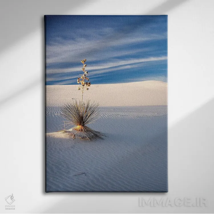 تابلو دکوراتیو New Mexico, White Sands National Monument, Sand Dune Patterns… اثر تری اگرز - نمای روبهرو روی دیوار