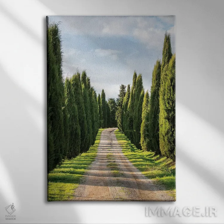 تابلو دکوراتیو Tuscany, Long Driveway lined with Cypress trees,ایتالیا، توسکا… اثر تری اگرز - نمای روبهرو روی دیوار