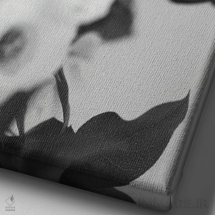 تابلو دکوراتیو باز شدن شکوفه های شقایق دریایی، سیاه و سفید اثر تیل پروداکشن - نمای نزدیک بافت بوم