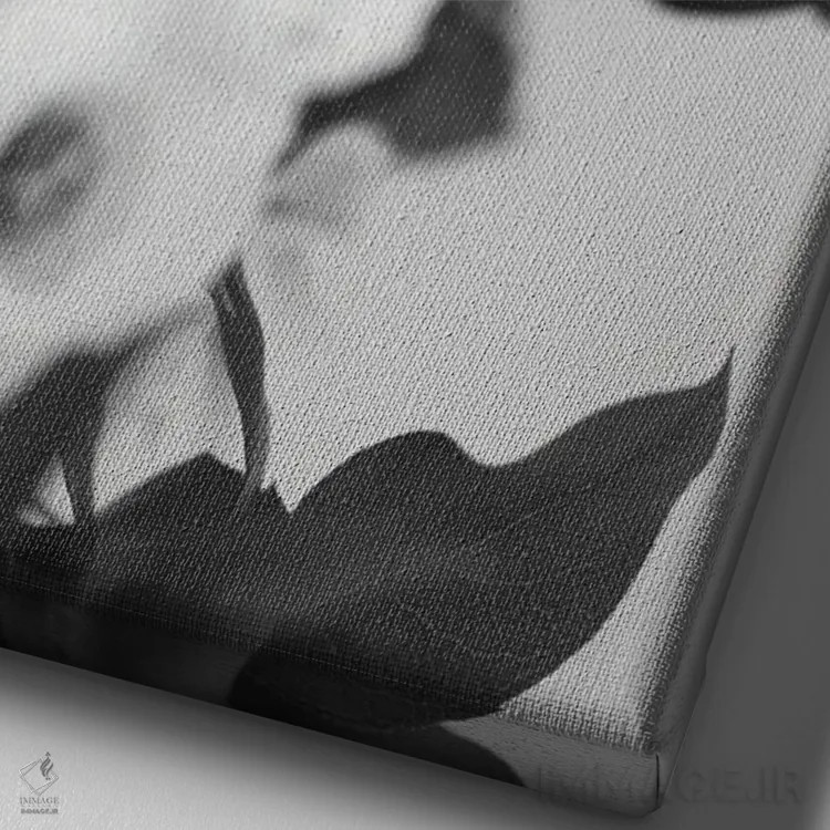 تابلو دکوراتیو باز شدن شکوفه های شقایق دریایی، سیاه و سفید اثر تیل پروداکشن - نمای نزدیک بافت بوم