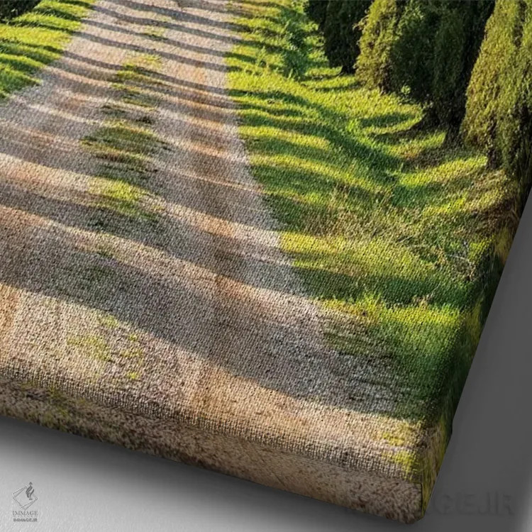 تابلو دکوراتیو Tuscany, Long Driveway lined with Cypress trees,ایتالیا، توسکا… اثر تری اگرز - نمای نزدیک بافت بوم