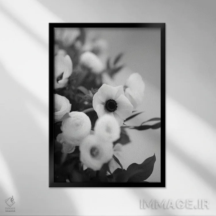 تابلو دکوراتیو باز شدن شکوفه های شقایق دریایی، سیاه و سفید اثر تیل پروداکشن - نمای قابدار مشکی