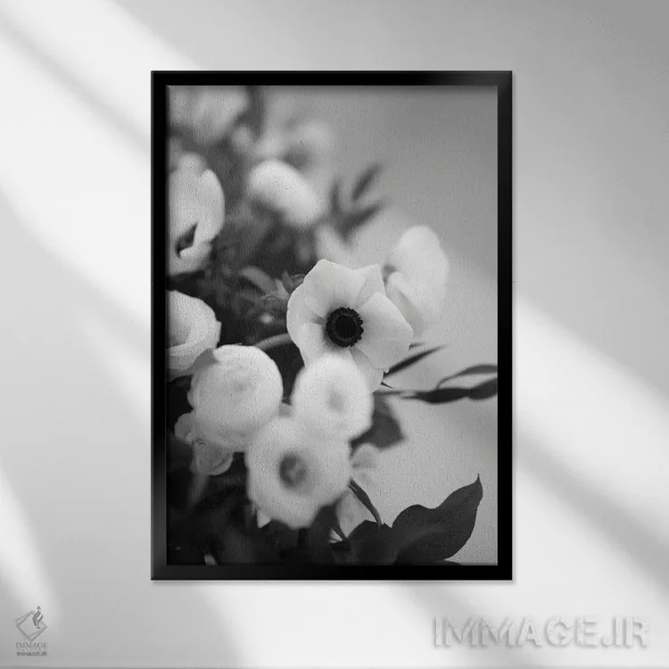 تابلو دکوراتیو باز شدن شکوفه های شقایق دریایی، سیاه و سفید اثر تیل پروداکشن - نمای قابدار مشکی