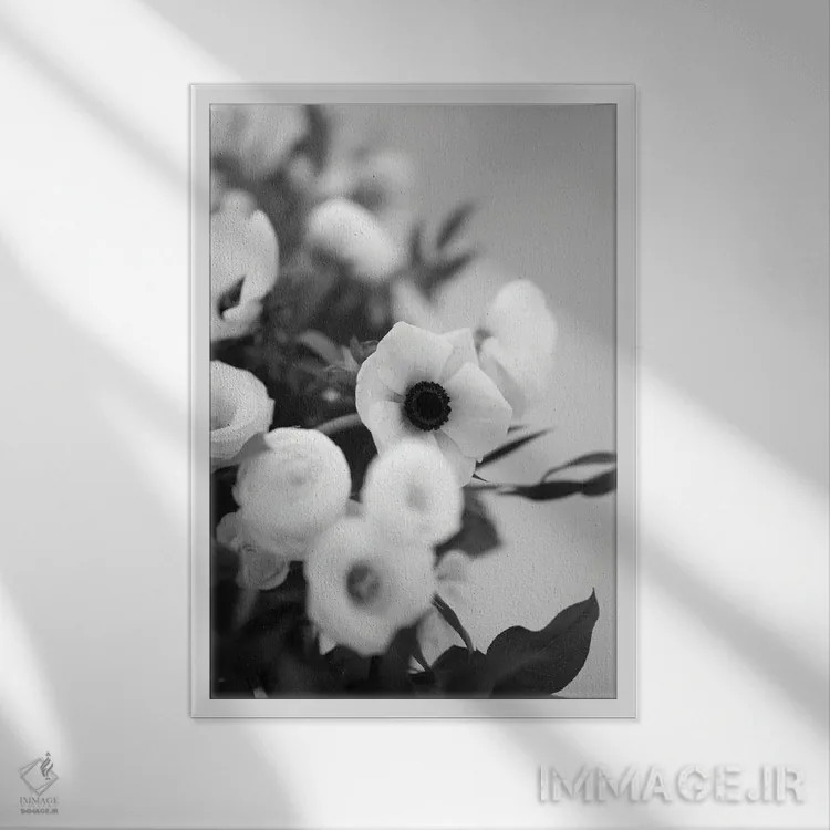 تابلو دکوراتیو باز شدن شکوفه های شقایق دریایی، سیاه و سفید اثر تیل پروداکشن - نمای قابدار سفید