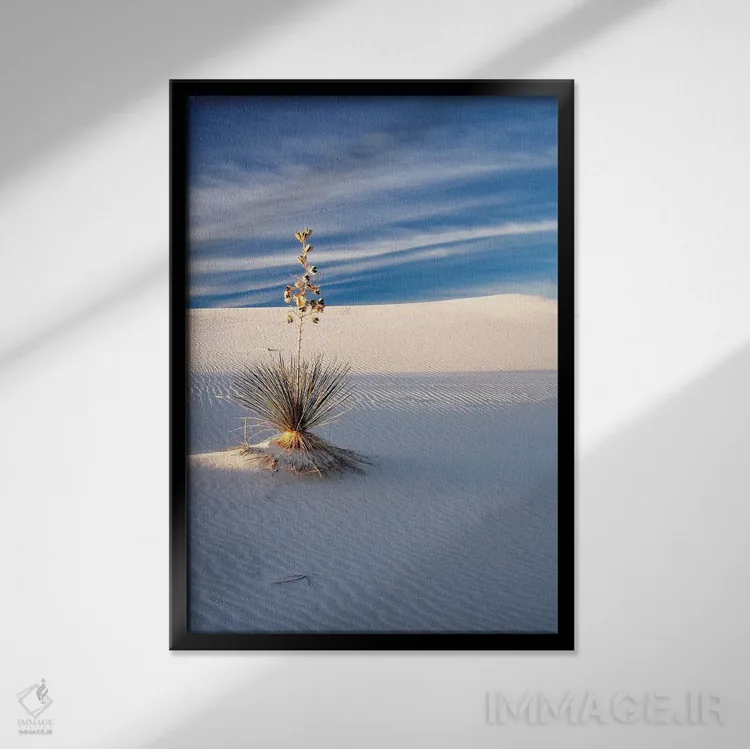 تابلو دکوراتیو New Mexico, White Sands National Monument, Sand Dune Patterns… اثر تری اگرز - نمای قابدار مشکی
