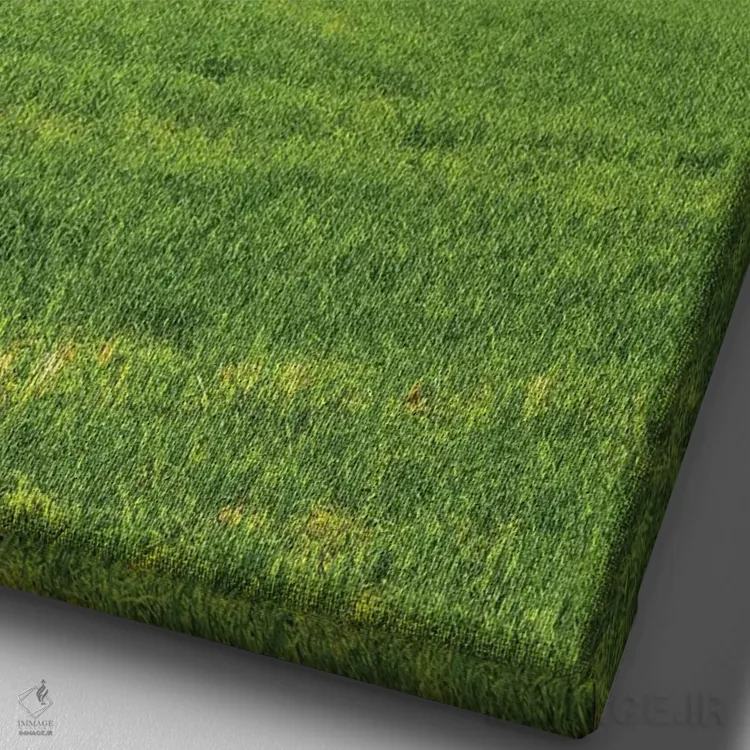 تابلو دکوراتیو Washington State, Red Barn in Spring,آمریکا، واشنگتن، انبار قر… اثر تری اگرز - نمای نزدیک بافت بوم