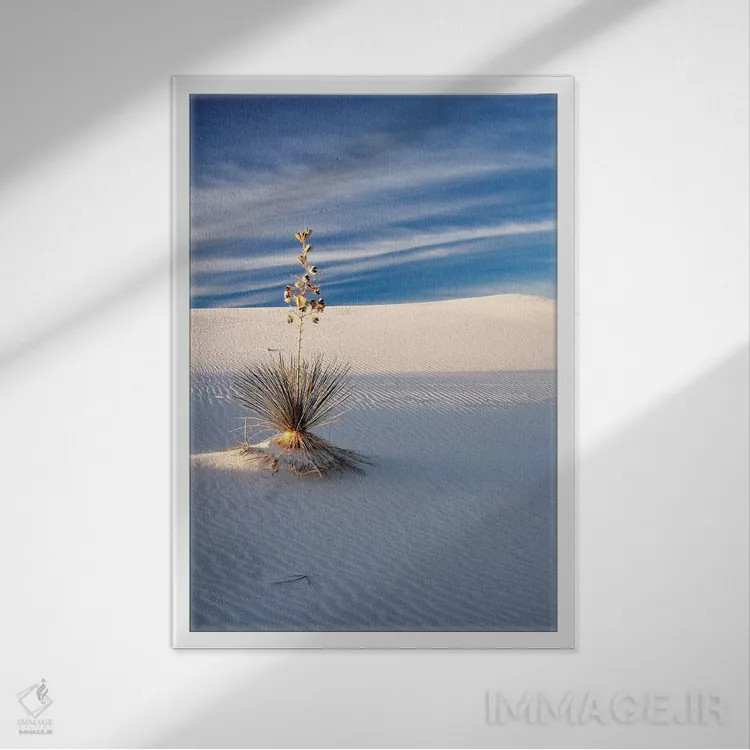 تابلو دکوراتیو New Mexico, White Sands National Monument, Sand Dune Patterns… اثر تری اگرز - نمای قابدار سفید