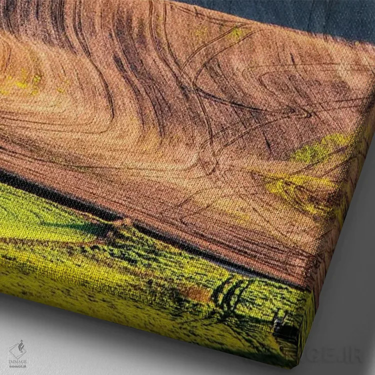 تابلو دکوراتیو Washington State, Palouse Country, Lone Tree in Wheat Field I… اثر تری اگرز - نمای نزدیک بافت بوم