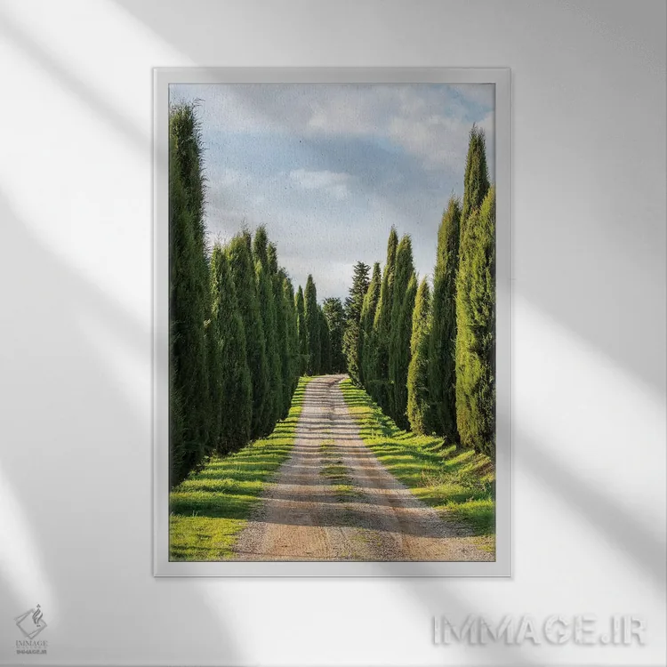 تابلو دکوراتیو Tuscany, Long Driveway lined with Cypress trees,ایتالیا، توسکا… اثر تری اگرز - نمای قابدار سفید