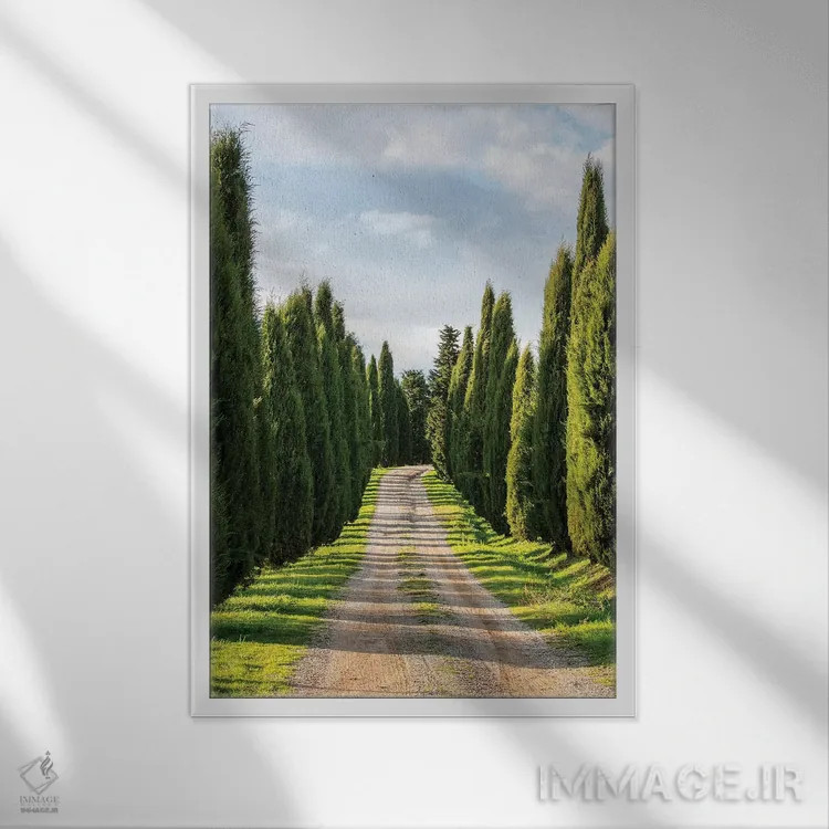 تابلو دکوراتیو Tuscany, Long Driveway lined with Cypress trees,ایتالیا، توسکا… اثر تری اگرز - نمای قابدار سفید