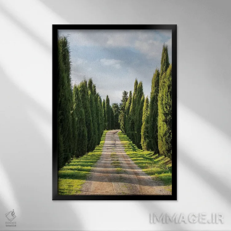 تابلو دکوراتیو Tuscany, Long Driveway lined with Cypress trees,ایتالیا، توسکا… اثر تری اگرز - نمای قابدار مشکی
