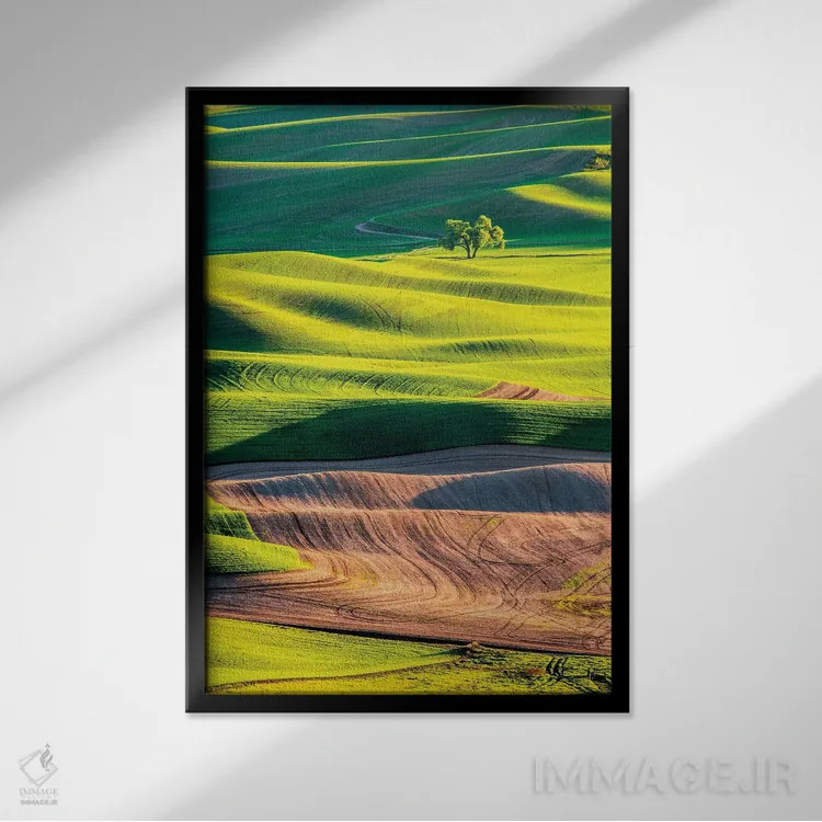 تابلو دکوراتیو Washington State, Palouse Country, Lone Tree in Wheat Field I… اثر تری اگرز - نمای قابدار مشکی