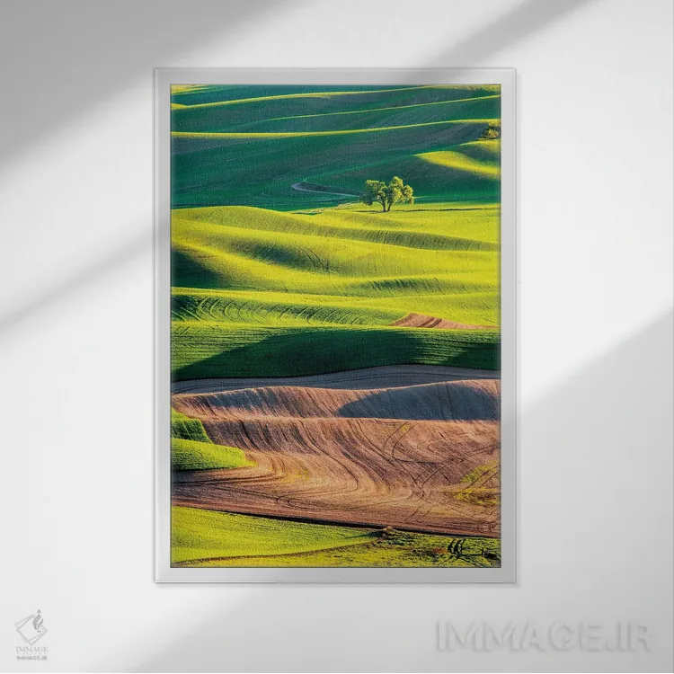 تابلو دکوراتیو Washington State, Palouse Country, Lone Tree in Wheat Field I… اثر تری اگرز - نمای قابدار سفید