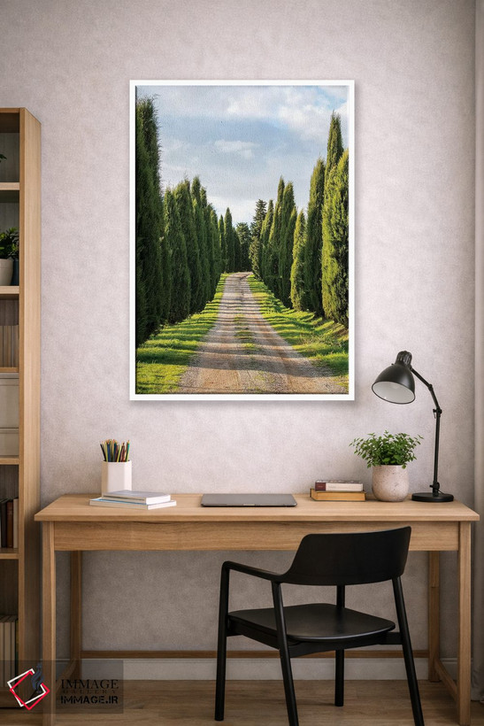 تابلو دکوراتیو Tuscany, Long Driveway lined with Cypress trees,ایتالیا، توسکا… اثر تری اگرز - D1W