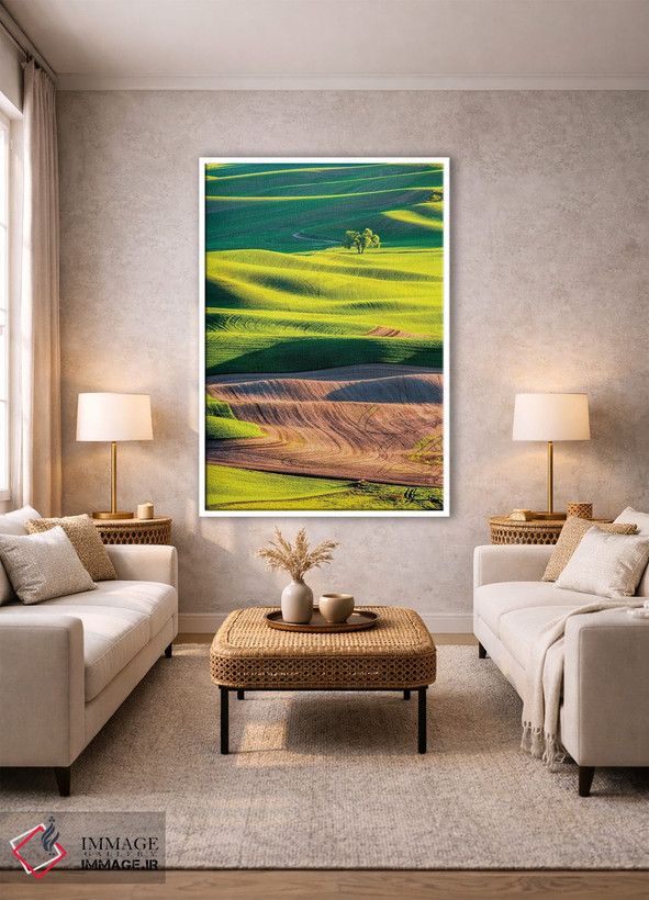 تابلو دکوراتیو Washington State, Palouse Country, Lone Tree in Wheat Field I… اثر تری اگرز - D1W