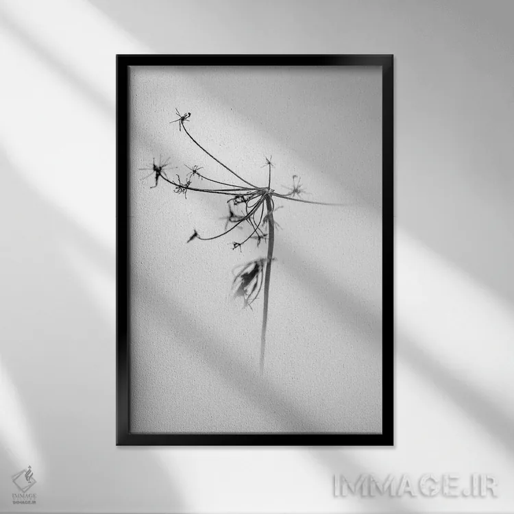 تابلو دکوراتیو در میان گل ها یک اثر تیس آلبرس - نمای قابدار مشکی