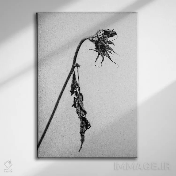 تابلو دکوراتیو در میان گل ها چهارده اثر تیس آلبرس - نمای روبهرو روی دیوار