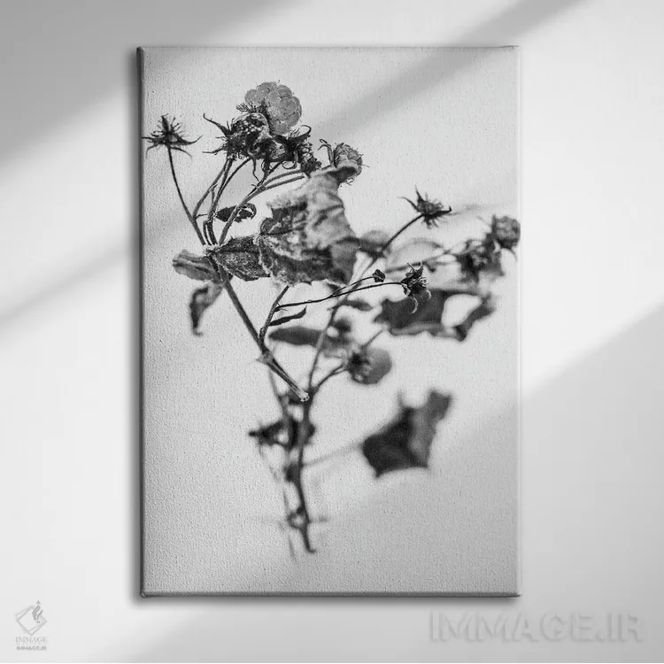 تابلو دکوراتیو در میان گل ها پانزده اثر تیس آلبرس - نمای روبهرو روی دیوار