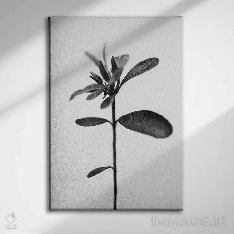تابلو دکوراتیو در میان گل ها شانزده اثر تیس آلبرس - نمای روبهرو روی دیوار