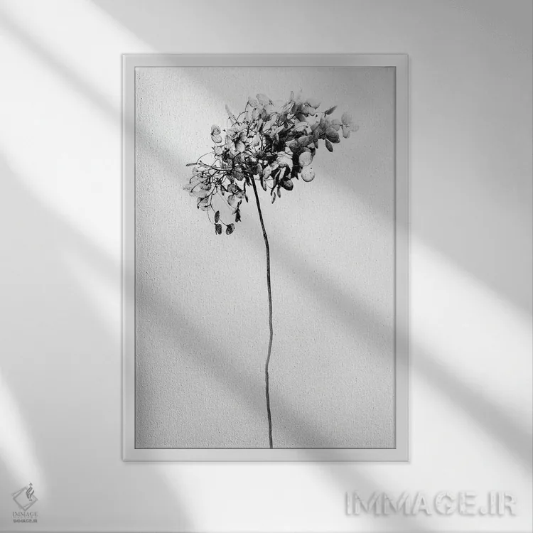 تابلو دکوراتیو در میان گل ها دو اثر تیس آلبرس - نمای قابدار سفید