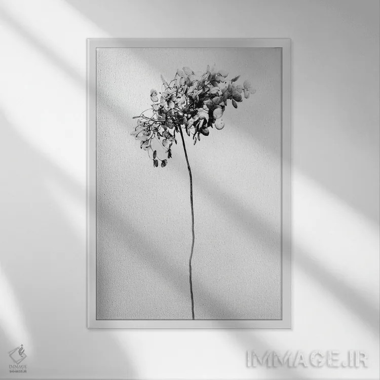 تابلو دکوراتیو در میان گل ها دو اثر تیس آلبرس - نمای قابدار سفید