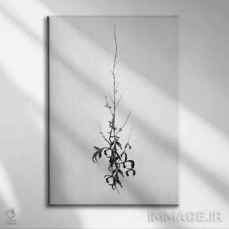 تابلو دکوراتیو در میان گل ها چهار اثر تیس آلبرس - نمای روبهرو روی دیوار
