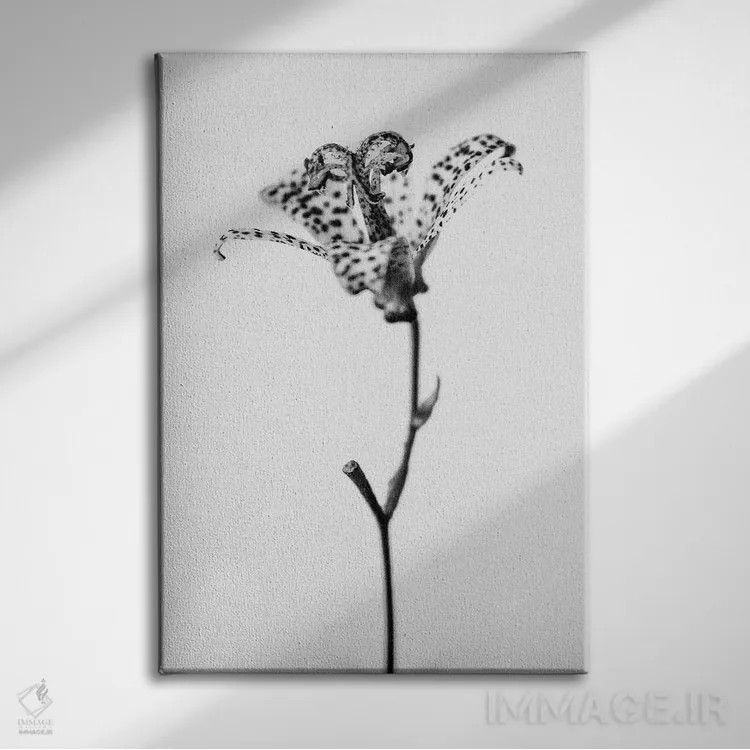 تابلو دکوراتیو در میان گل ها نوزده اثر تیس آلبرس - نمای روبهرو روی دیوار
