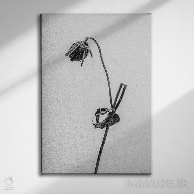 تابلو دکوراتیو در میان گل ها هفده اثر تیس آلبرس - نمای روبهرو روی دیوار