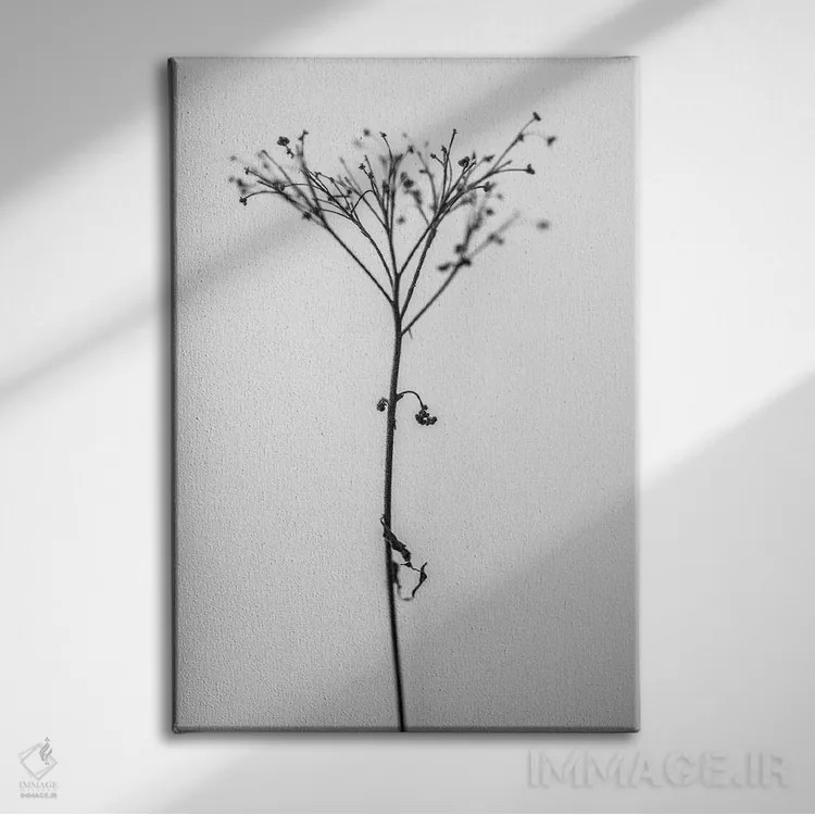 تابلو دکوراتیو در میان گل ها هجده اثر تیس آلبرس - نمای روبهرو روی دیوار
