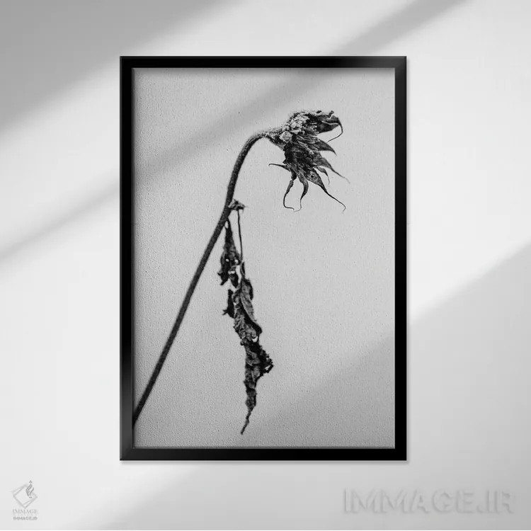 تابلو دکوراتیو در میان گل ها چهارده اثر تیس آلبرس - نمای قابدار مشکی