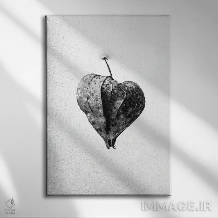 تابلو دکوراتیو در میان گل ها پنج اثر تیس آلبرس - نمای روبهرو روی دیوار