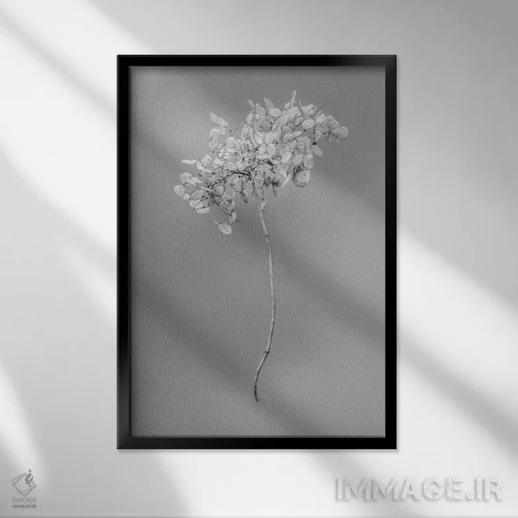 تابلو دکوراتیو در میان گل ها هشت اثر تیس آلبرس - نمای قابدار مشکی
