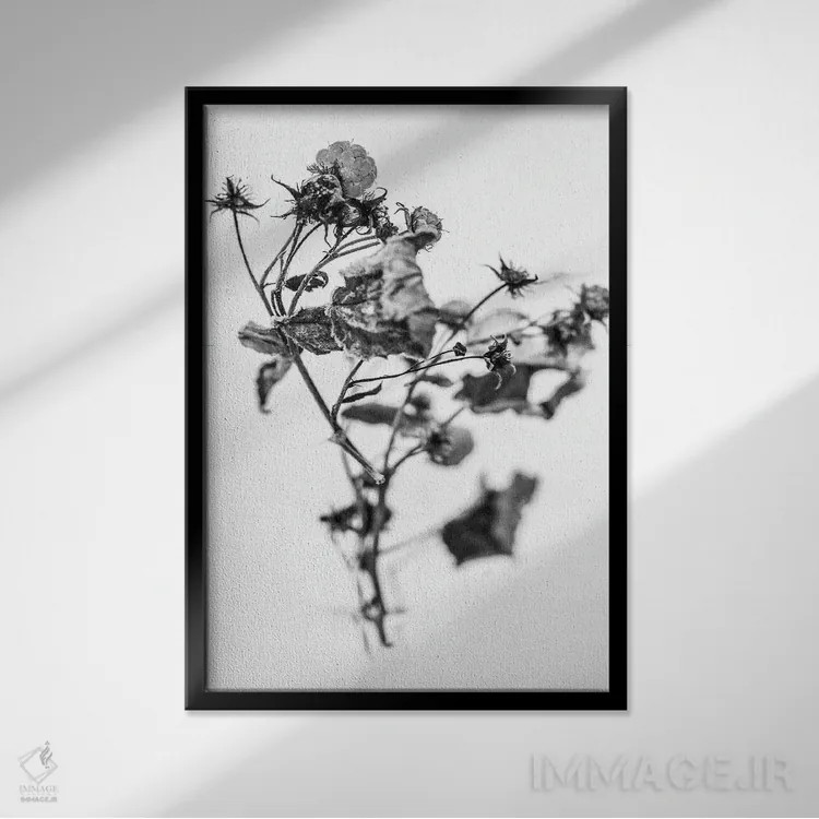 تابلو دکوراتیو در میان گل ها پانزده اثر تیس آلبرس - نمای قابدار مشکی