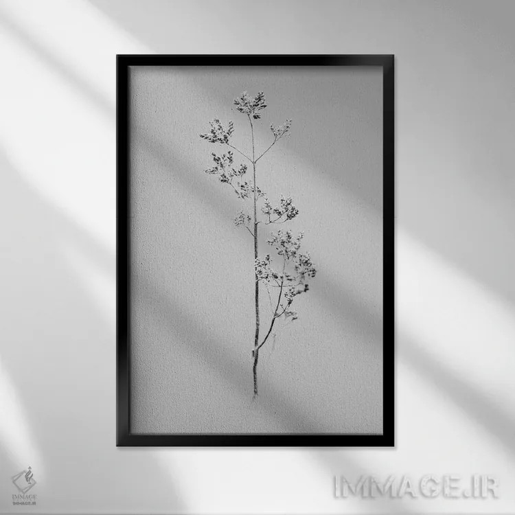 تابلو دکوراتیو در میان گل ها ده اثر تیس آلبرس - نمای قابدار مشکی