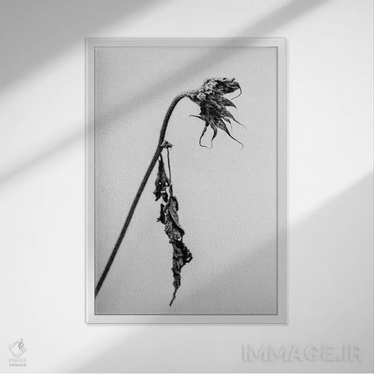 تابلو دکوراتیو در میان گل ها چهارده اثر تیس آلبرس - نمای قابدار سفید