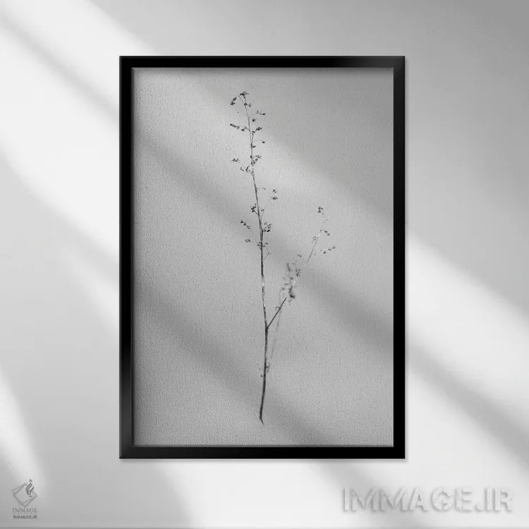 تابلو دکوراتیو در میان گل ها هفت اثر تیس آلبرس - نمای قابدار مشکی