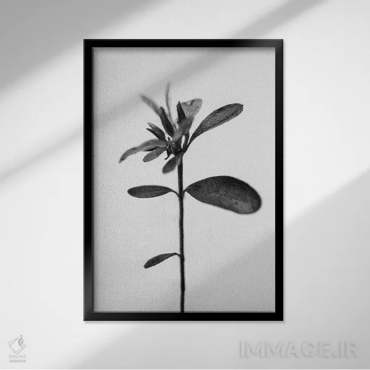 تابلو دکوراتیو در میان گل ها شانزده اثر تیس آلبرس - نمای قابدار مشکی