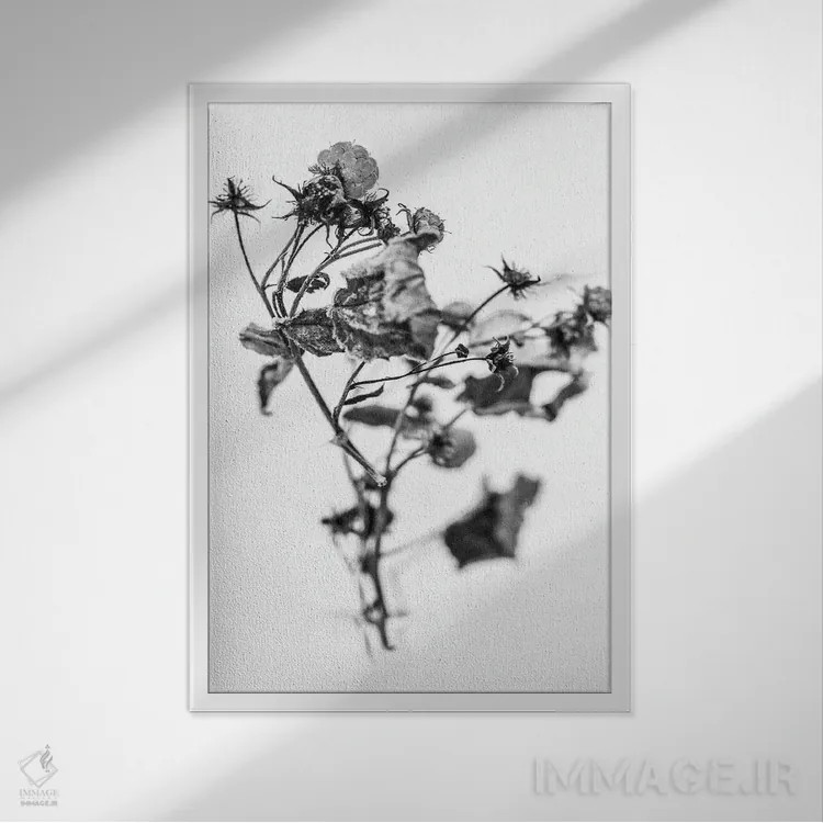 تابلو دکوراتیو در میان گل ها پانزده اثر تیس آلبرس - نمای قابدار سفید