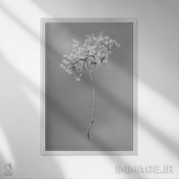 تابلو دکوراتیو در میان گل ها هشت اثر تیس آلبرس - نمای قابدار سفید